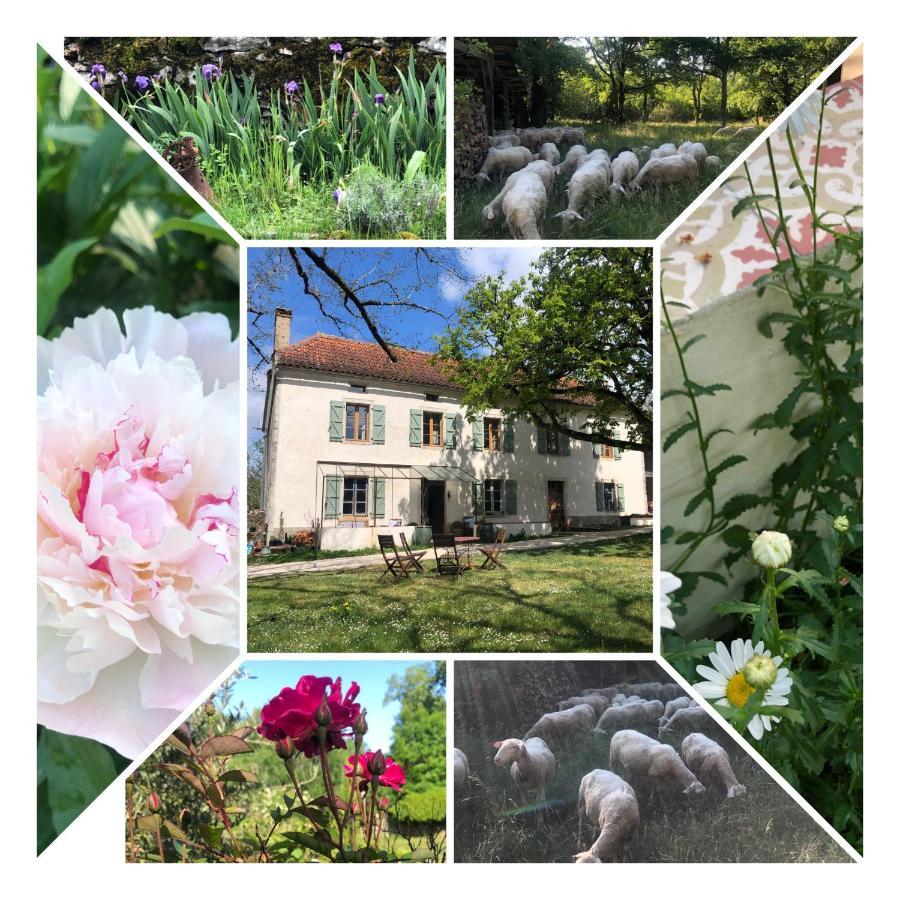 Bed and Breakfast Mas D'Aubrac Limogne-en-Quercy Esterno foto