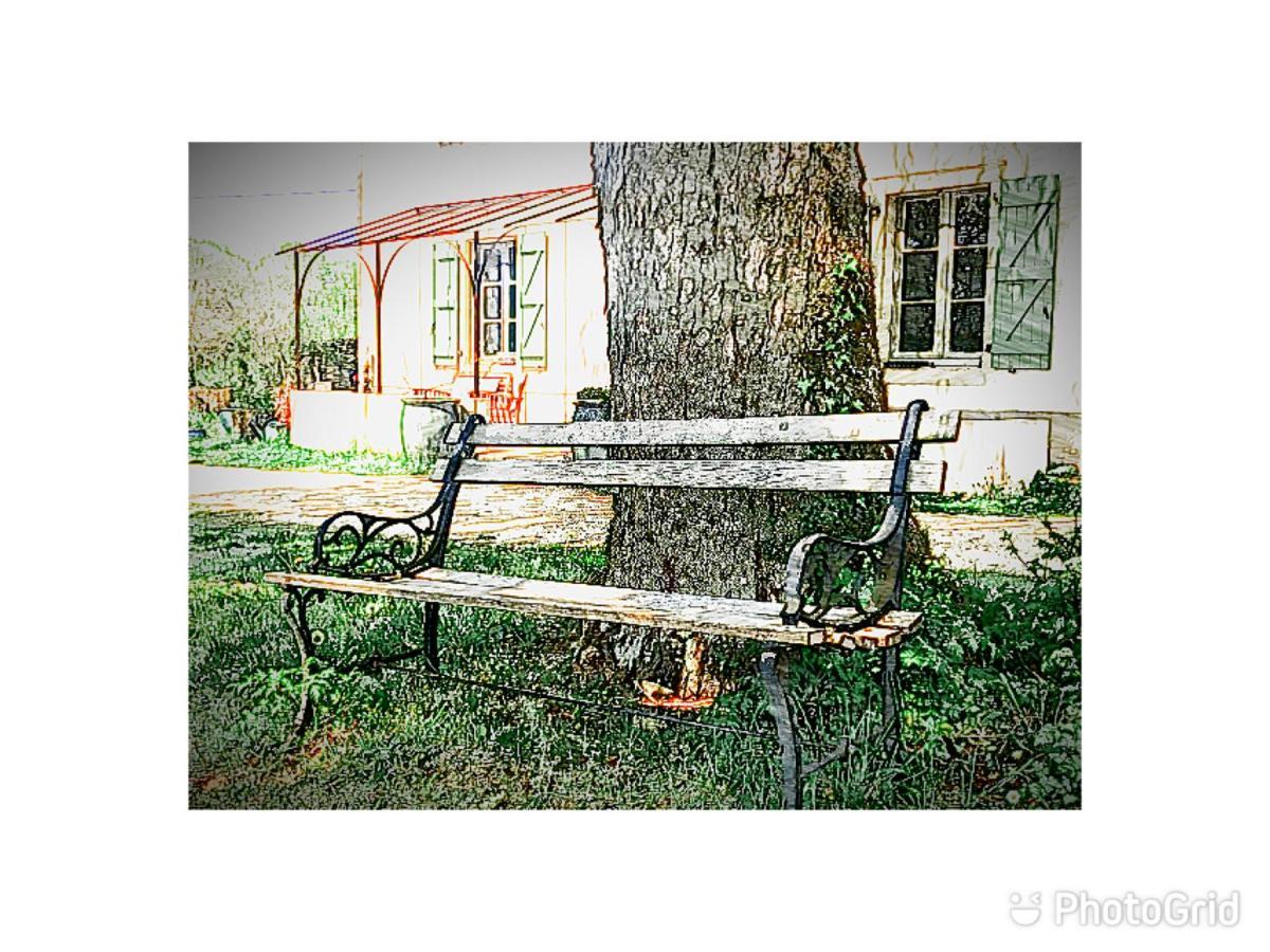 Bed and Breakfast Mas D'Aubrac Limogne-en-Quercy Esterno foto